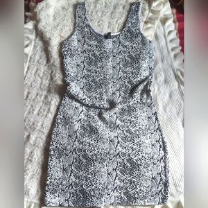 Divided Snake Print Dress